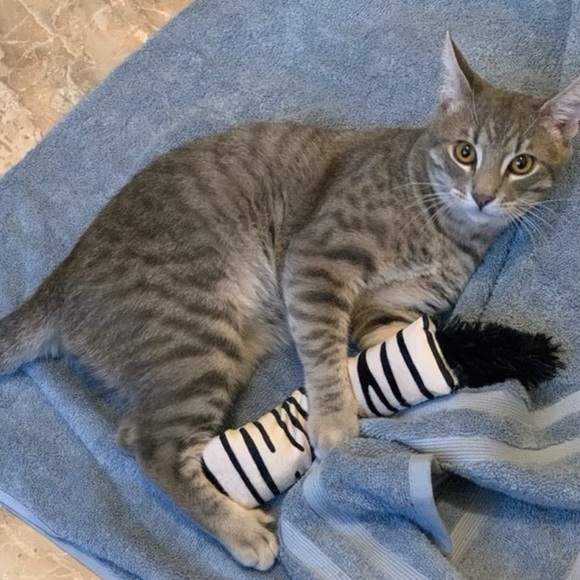 Meet your Top Rated Posh Seller Katikapreโ - Picture 2 of 13